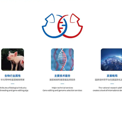 如何巧妙融合不同元素進行Logo設(shè)計？